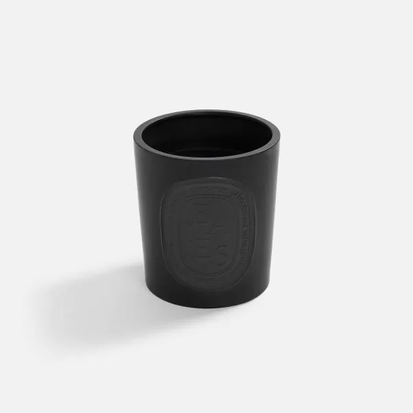 Baies 1500G Scented Candle | Diptyque Hot
