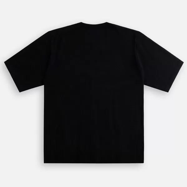 Cashmere Hard Twist Knit Tee | Auralee Store