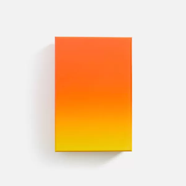Gradient Puzzle | Areaware Fashion