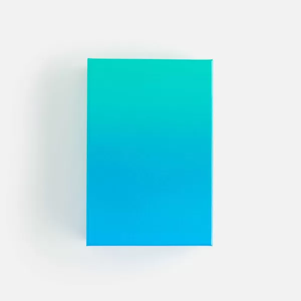 Gradient Puzzle | Areaware Hot