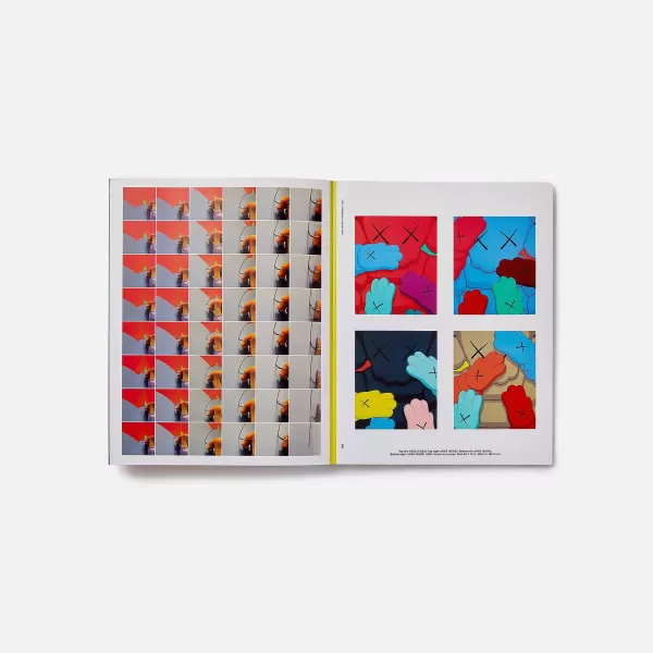 Kaws: What Party | PHAIDON Best Sale