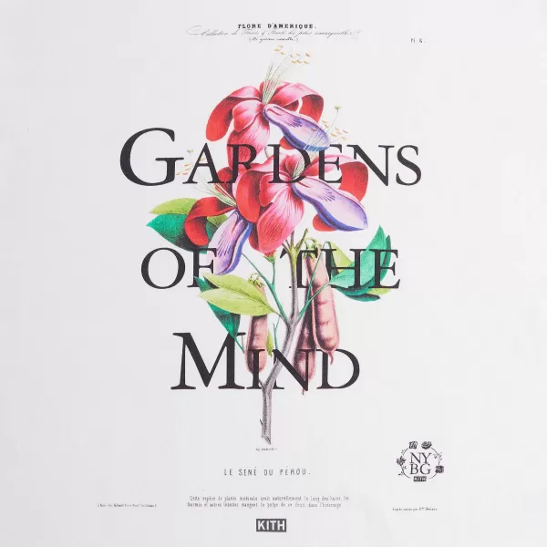 For New York Botanical Garden Le Sene Du Perou Vintage Tee | Kith Outlet