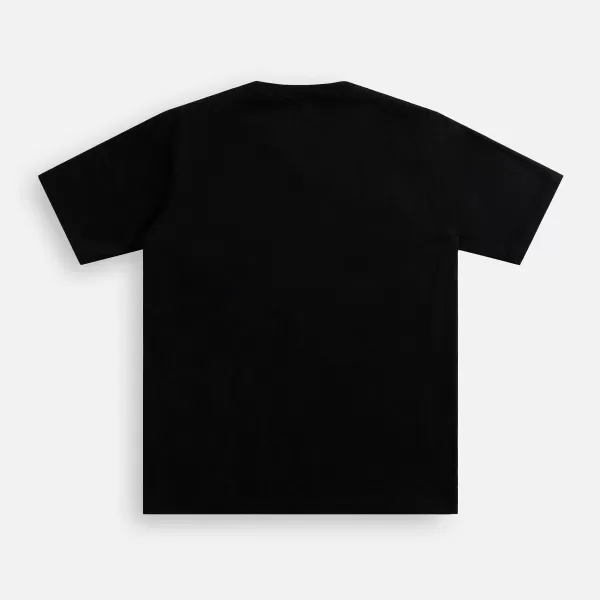 Luster Plaiting Tee | Auralee Flash Sale